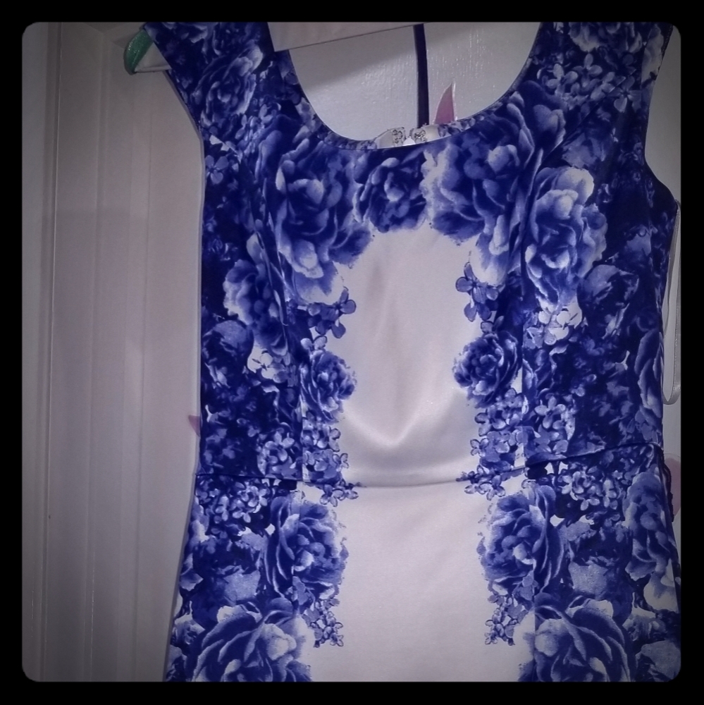 Blue and white dress